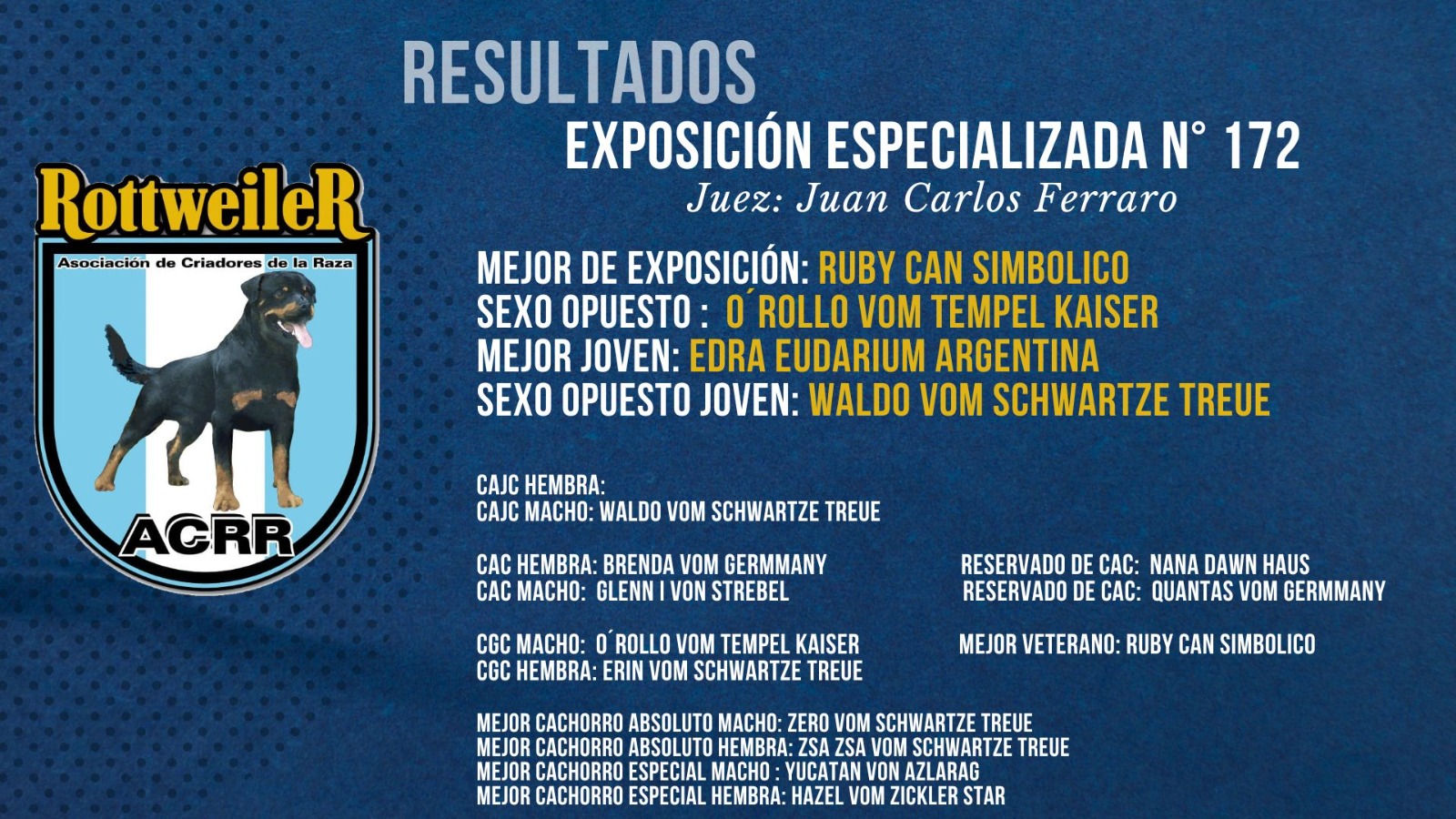 resultados mejores de exposicion 172