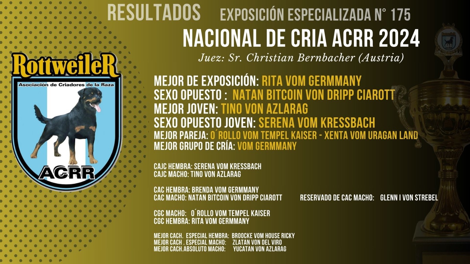 resultados mejores de exposición 175