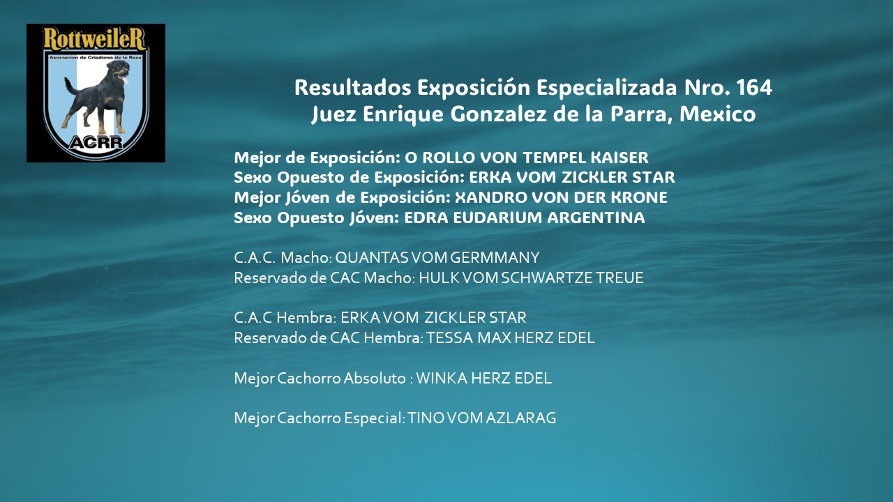 resultados mejores de exposicion 164