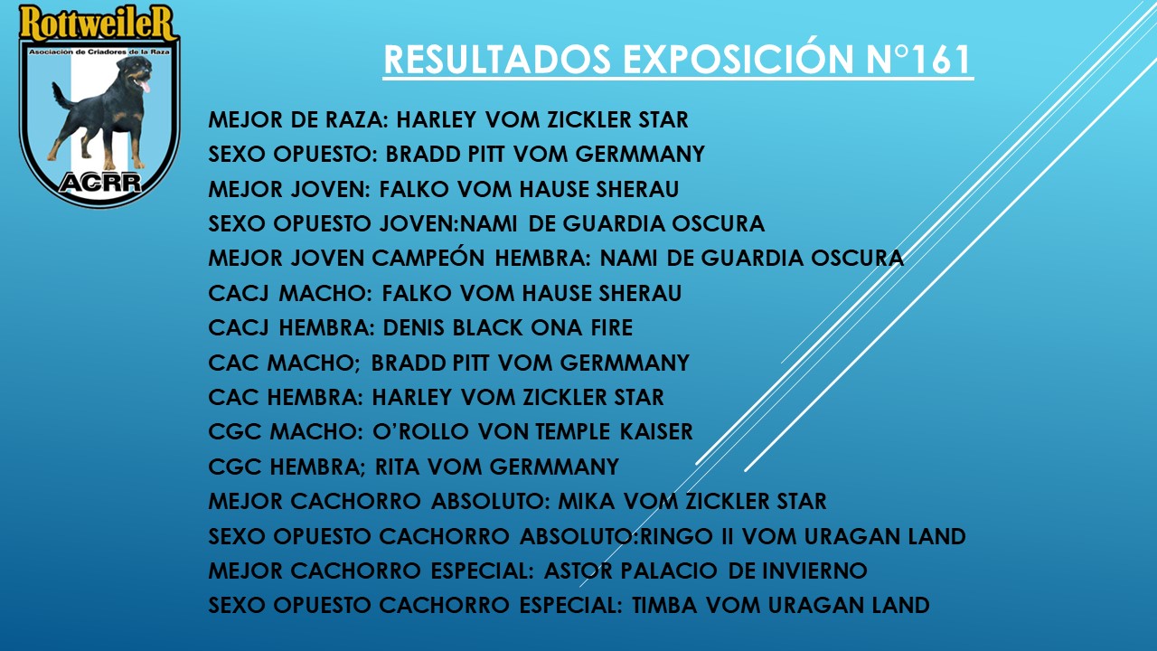 resultado mejor de expo 161