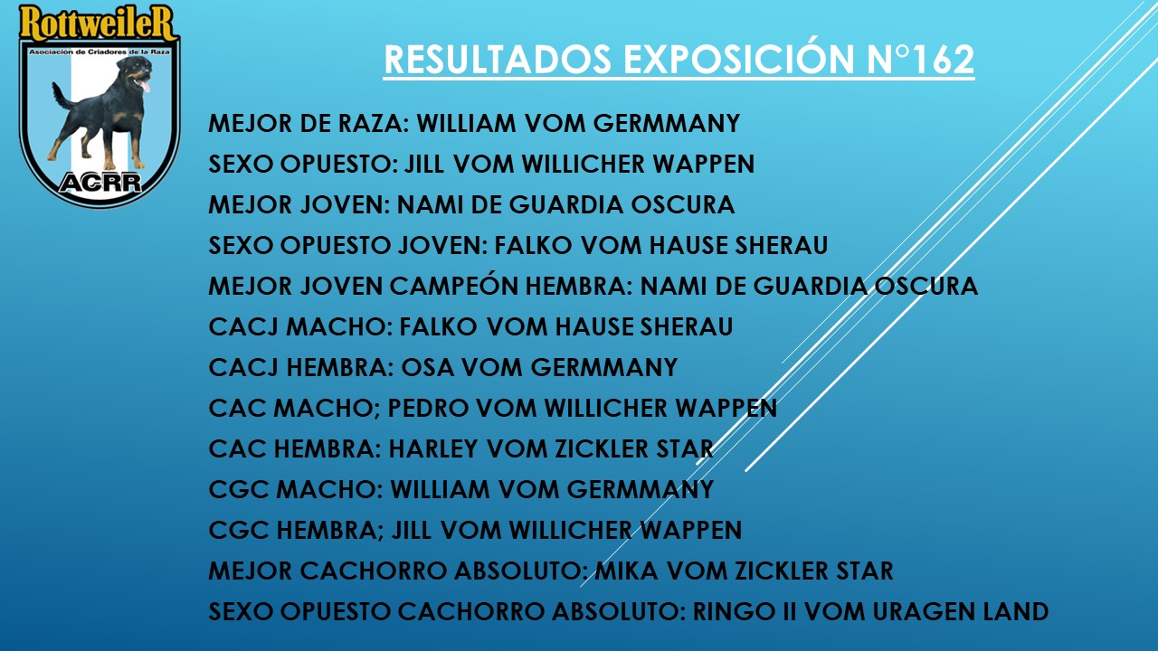 resultado mejor de expo 162