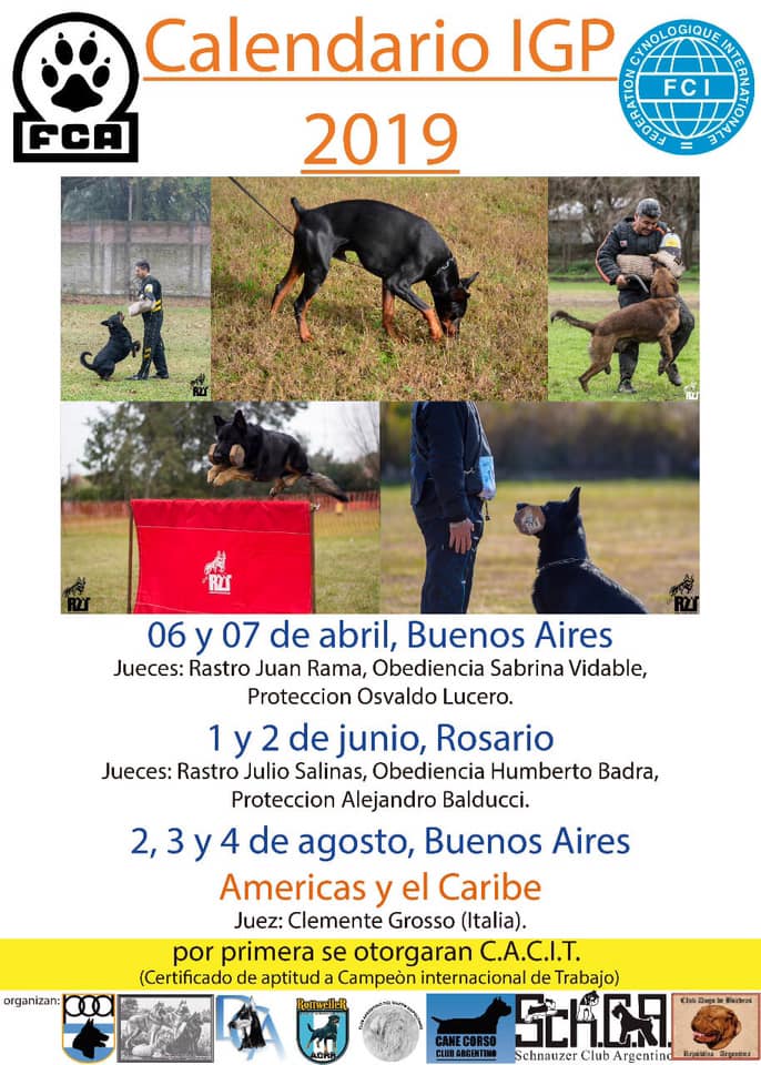 Fechas de competencias 2019